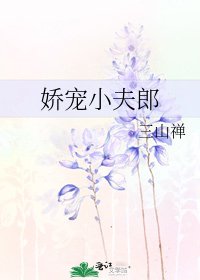 娇宠小夫郎